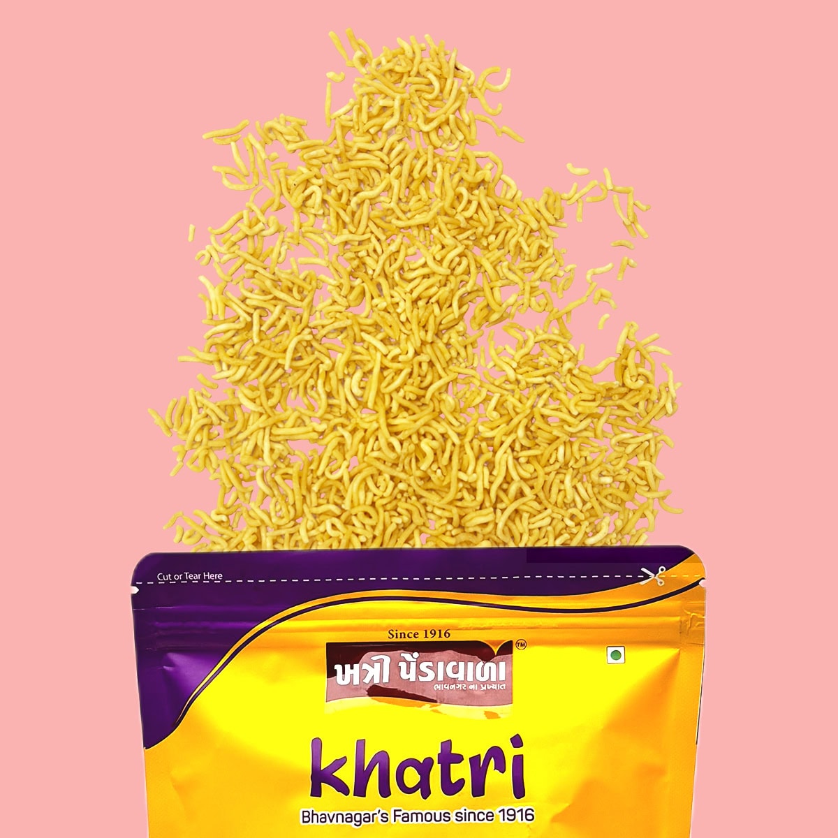 BHAVNAGARI NYLON GATHIYA